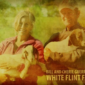Bill and Cherie Guerrant of White Flint Farm