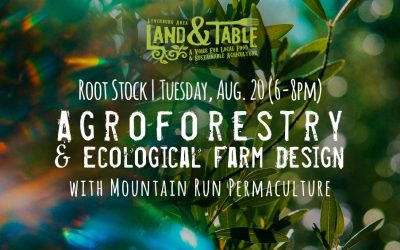 Root Stock: Agroforestry & Ecological Farm Design – Aug. 20