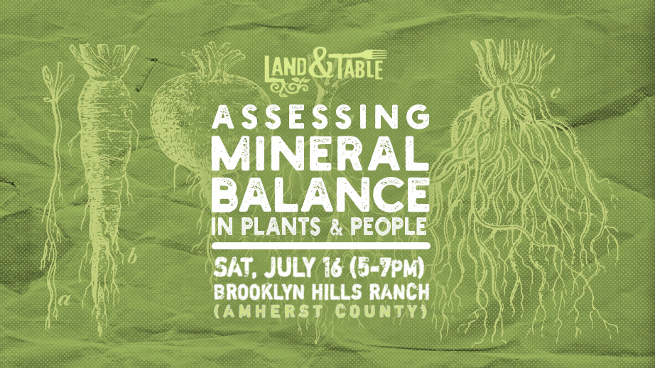 Assessing Mineral Balance - Land & Table event in Amherst County, Virginia