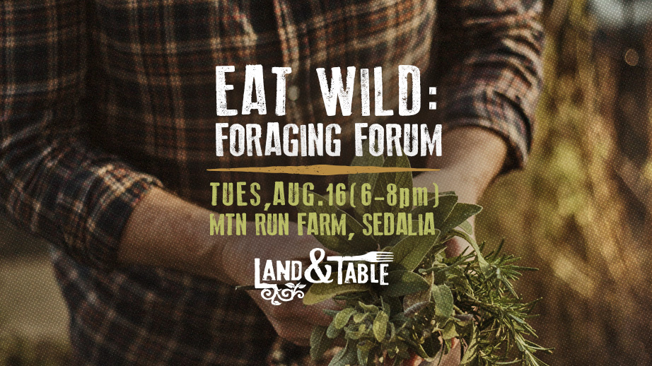 Eat Wild: Foraging Forum (Sedalia) – 8/16/22