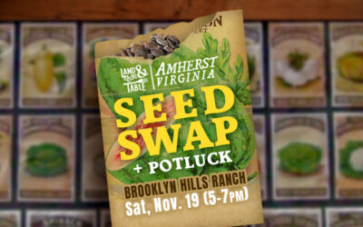 Seed Swap & Potluck (Amherst) – 11/19/22
