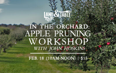 In the Orchard: Apple Tree Pruning Workshop (Feb 18)