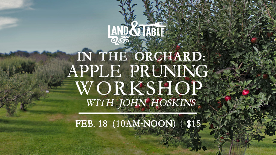 In the Orchard: Apple Pruning Workshop with John Hoskins