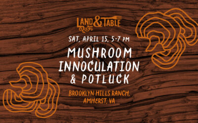 Mushroom Inoculation + Potluck | Amherst (4/15)