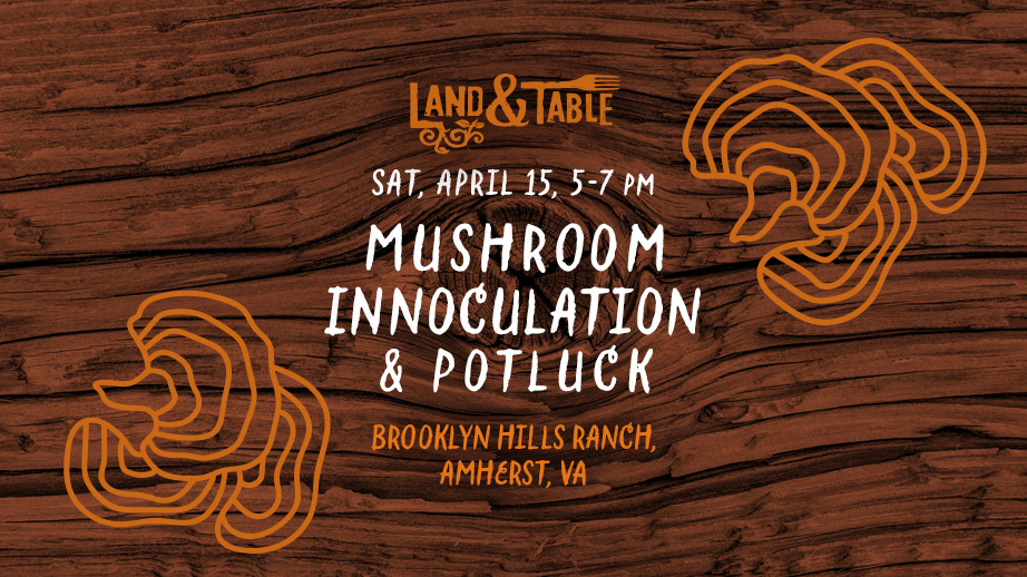 Mushroom Inoculation + Potluck | Amherst (4/15)