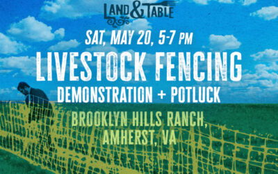Livestock Fencing | Amherst (5/20)
