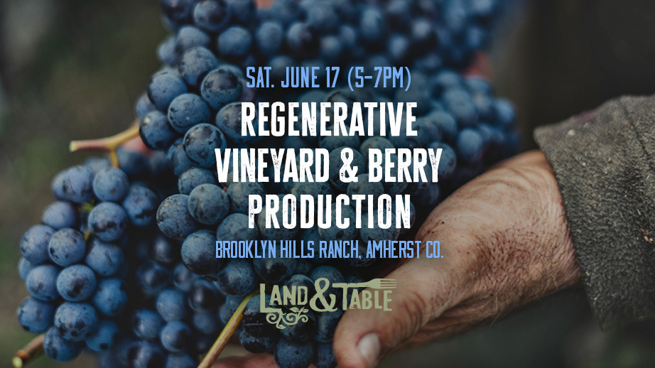 Regenerative Vineyard and Berry Production | Amherst (6/17)