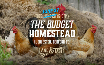 The Budget Homestead | Huddleston (6/27) (NEW DATE!)