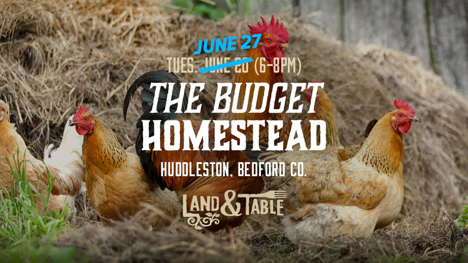 The Budget Homestead | Bedford / Huddleston (6/27)