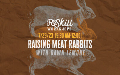 Raising Meat Rabbits – ReSkill Workshop
