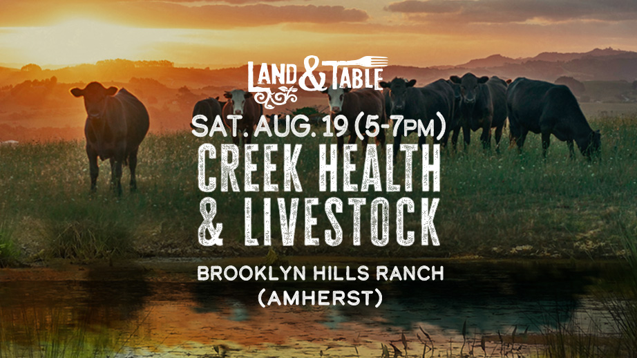 Creek health and livestock