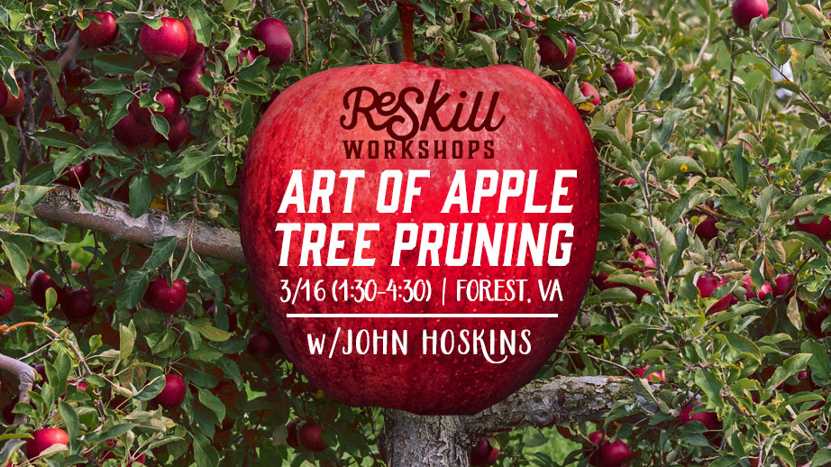 Apple Pruning workshop with John Hoskins