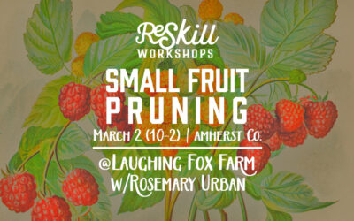 ReSkill Workshop: Small Fruit Pruning (3/2/24)