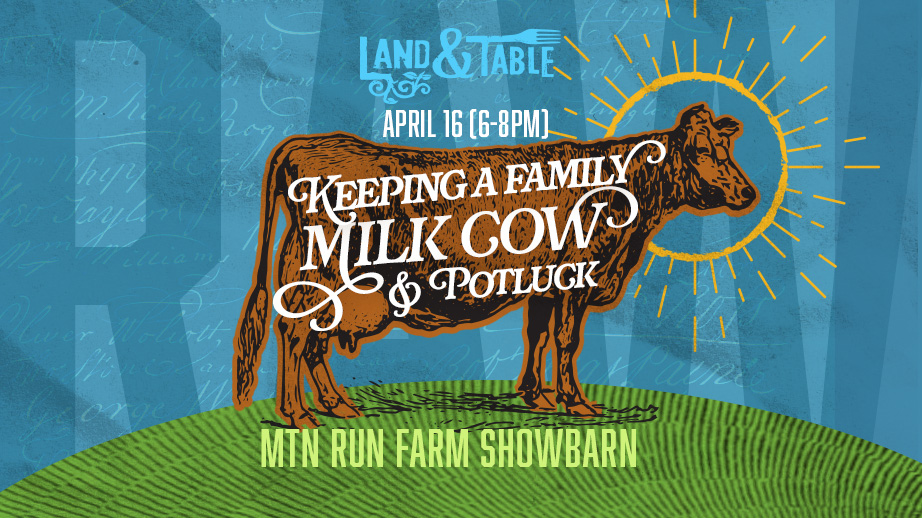 Keeping A Family Milk Cow | Sedalia (4/16)