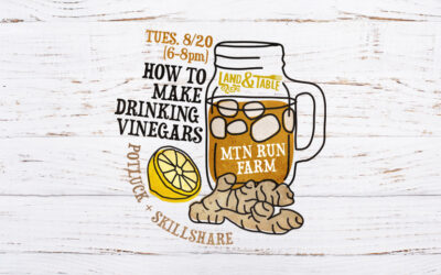 How To Make Drinking Vinegars | 8-20-24 (Bedford)