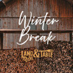 L&T Winter Break