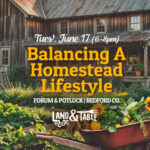 Balancing A Homestead Lifestyle