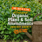 Homemade organic plant and soil amendments