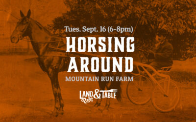 Horsing Around (Bedford) 9/16