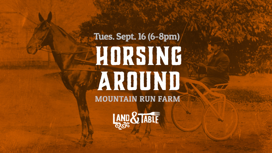 Horsing Around (Bedford) 9/16