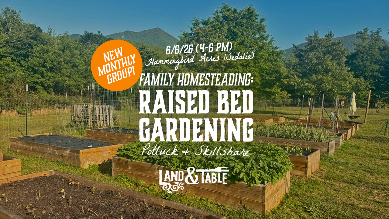 Family Homesteading: Raised Bed Gardening