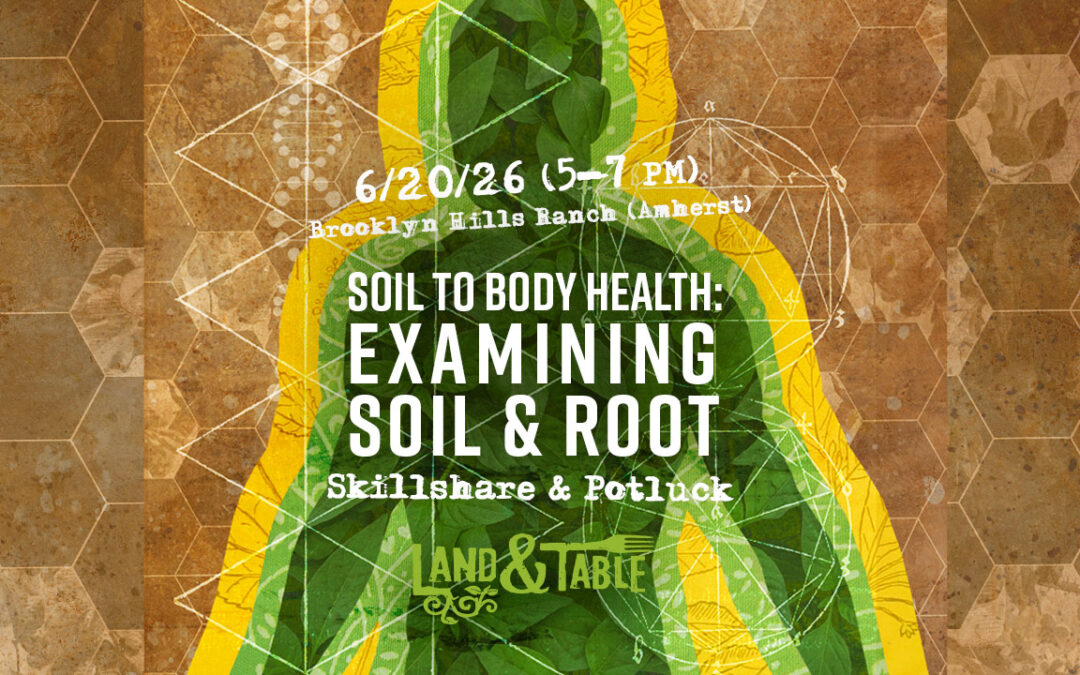 Soil To Body Health: Examining Soil & Root (6/20/26)