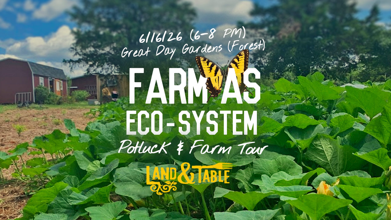 Farm as eco-system at Great Day Gardens