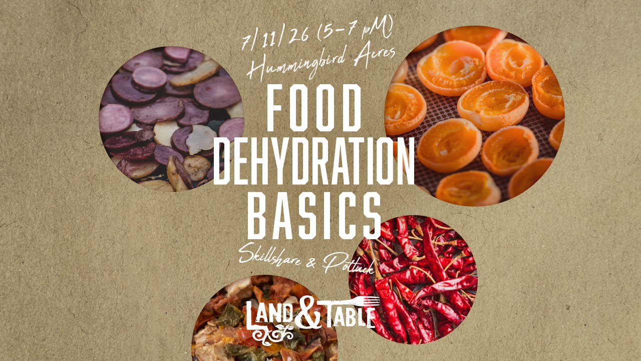 Food Dehydrating Basics - skillshare