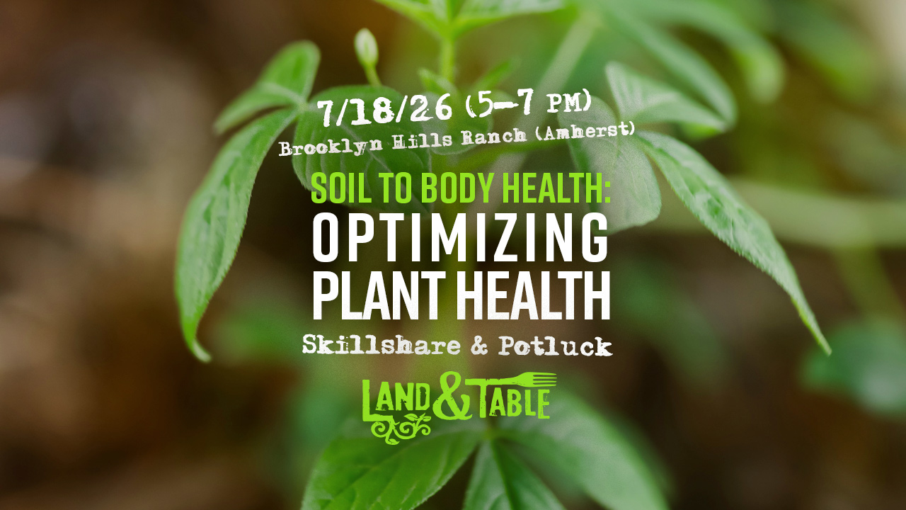 Soil to Body Health: Optimizing Plant Health