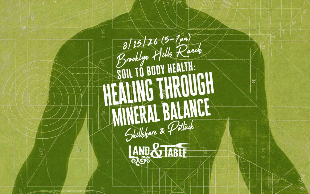 Healing Through Mineral Balance (Aug. 15)