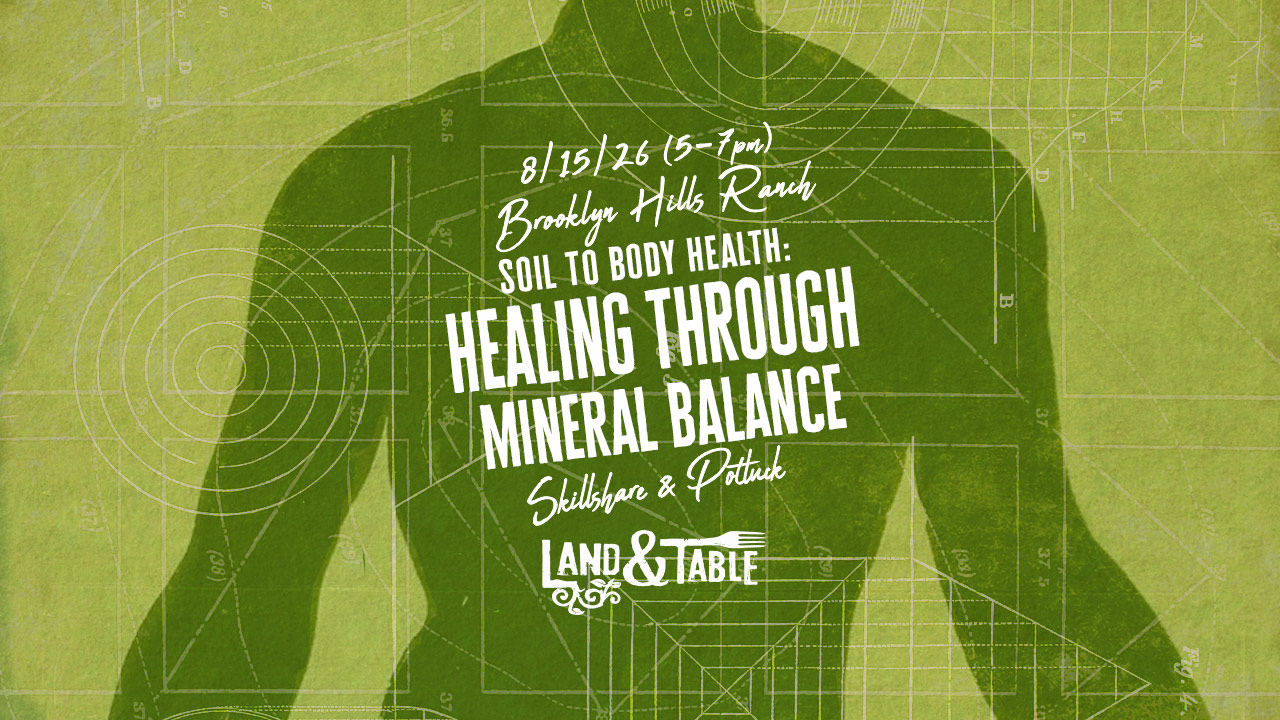 Healing through mineral balance