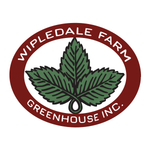 Wipledale Farm Greenhouse