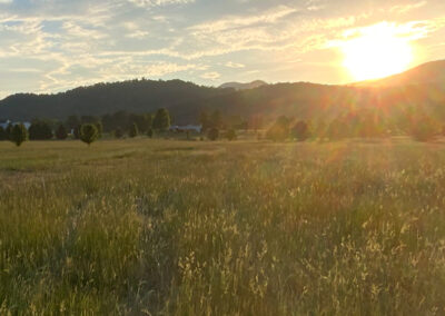 View of the Blue Ridge Mountains at Mountain Run Farm in Sedalia, Virginia
