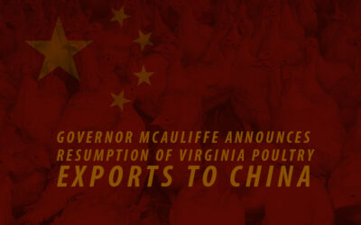 Governor McAuliffe Announces Resumption of Virginia Poultry Exports to China